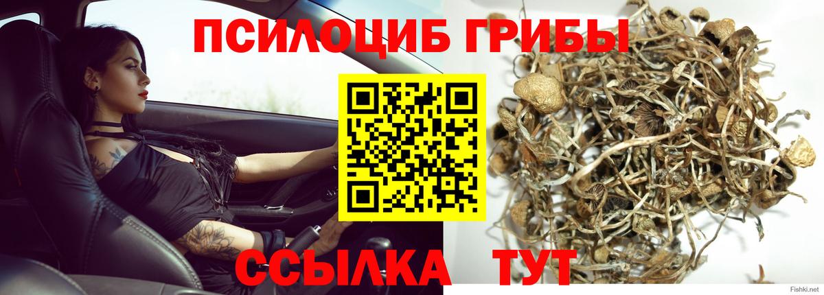 Псилоцибиновые грибы MAGIC MUSHROOMS  Псилоцибиновые грибы GOLDEN TEACHER  закладки  Вход с VPN  Иваново 